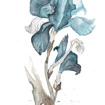 Mi Proyecto del curso: Técnicas aplicadas de ilustración en acuarela. Un progetto di Illustrazione tradizionale di Joaquín Morales Gómez - 22.03.2019