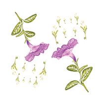 Mi Proyecto del curso: Ilustración botánica con acuarela. Design, Ilustração tradicional, e Pintura em aquarela projeto de Marie Cediel - 14.04.2019