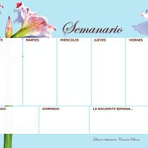 Mi Proyecto del curso: Ilustración botánica con acuarela. Ilustração tradicional projeto de Carmen Rivera - 14.04.2019