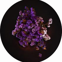 Mi Proyecto del curso: Las leyes de la percepción visual: unidad, peso, equilibrio y movimiento. Een project van  Beeldende kunst, Collage,  Creativiteit y Digitale fotografie van Roxana Brizuela - 19.04.2019