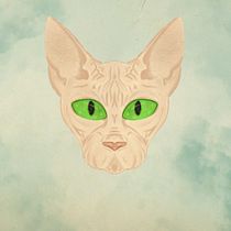 Sphynx Cat. Digital Illustration project by Pasqual Monzonís - 04.23.2019