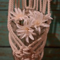 Mi Proyecto del curso: Introducción al macramé: creación de un tapiz decorativo Ein Projekt aus dem Bereich Design von Jazmin NM - 02.05.2019
