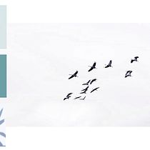 Mi Proyecto del curso: Fotografía profesional para Instagram Ein Projekt aus dem Bereich Design, Digitalfotografie und Portfolioverwaltung von Paula Calero Ostariz - 07.11.2019