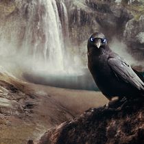 VALHALLA - by Mireya Rubio. Concept Art, Photograph, and Digital Illustration project by Mireya Rubio - 05.22.2019