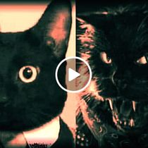 Insurgencia es para TODOS!. Music, and Advertising project by suarepat - 06.10.2019