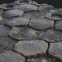 Mi Proyecto del curso: Introducción a la creación de texturas con Substance Designer Ein Projekt aus dem Bereich 3D von Jorge "Zombie" Esparza - 02.08.2019