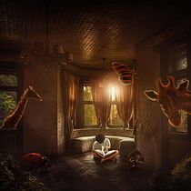 Imaginacion. Photograph project by Alex Rodriguez - 06.18.2019