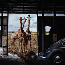 Mi Proyecto del curso: Secretos del fotomontaje y el retoque creativo. Photo Retouching project by Dar Brom - 06.29.2019