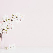 Mi Proyecto del curso: Fotografía profesional para la cuenta de instagram de mi boutique floral @flordecerezo.mx. Decoração de interiores projeto de Sandra Cárdenas Campos - 30.06.2019