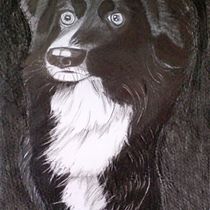 Perrito. Desenho a lápis projeto de Zaida Olvera - 30.06.2019