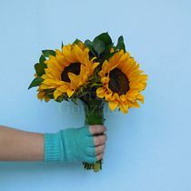 Mi Proyecto del curso: Fotografía profesional para Instagram. Mobile Photograph, Studio Photograph, and Product Photograph project by Sandra González - 06.19.2019