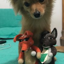 Mi Proyecto del curso: Needle felting: creación de personajes con lana y aguja. Artesanato projeto de Vera Orchid Lopez Mariño - 16.07.2019
