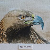Cristina López. Wildlife Art. Traditional illustration project by Cristina Lopez Pozo - 07.18.2019
