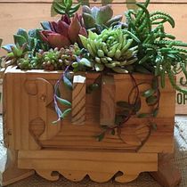 Mi Proyecto del curso: Diseño y creación de composiciones botánicas. Projekt z dziedziny Design użytkownika geyddy_17 - 01.08.2019
