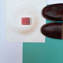 Cardinal-zapatillas. Instagram project by Adriana Falla - 08.04.2019