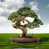 Mi Proyecto del curso: Secretos del fotomontaje y el retoque creativo. Photo Retouching project by Pablo Andrés | Dragonartes - 08.13.2019