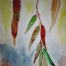 Mi Proyecto del curso: Técnicas aplicadas de ilustración en acuarela. Un progetto di Disegno di Veronica Royer - 06.08.2019