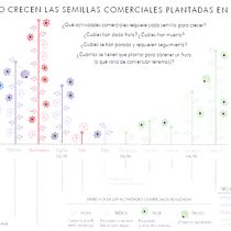 Vender mis servicios profesionales como quien cultiva las semillas para que den fruto. Creative Consulting project by Amanda Figueras Giménez - 08.10.2019