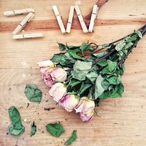 Mi Proyecto del curso: Fotografía profesional para Instagram Ein Projekt aus dem Bereich Bildung von Diana Reyes Zamora - 20.08.2019
