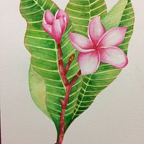 Mi Proyecto del curso: Ilustración botánica con acuarela. Pintura em aquarela projeto de Ale Hernández - 17.09.2019