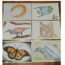 Mi Proyecto del curso: Técnicas experimentales de acuarela para principiantes . Un progetto di Illustrazione tradizionale e Pittura ad acquerello di Rocio de la Iglesia - 23.08.2019