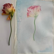 Mi Proyecto del curso: Ilustración botánica con acuarela. Traditional illustration, Fine Arts, Painting, Drawing, Watercolor Painting, and Botanical Illustration project by Andrea Méndez Juárez - 03.04.2024