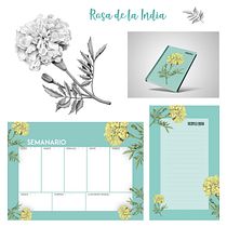 Ilustración botánica: grisalla. Desenho a lápis, Design de produtos, Encadernação, Ilustração tradicional, e Pattern Design projeto de Elena Rosa Cruz Jiménez - 10.09.2019