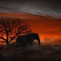 QRA Elephant Sunset.. Concept Art, Design, Photograph, Fine-Art Photograph, Digital Photograph, Photograph, Post-production, and Photo Retouching project by Heder Miranda - 09.28.2019