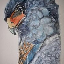 Mi Proyecto del curso: Técnicas experimentales de acuarela para principiantes . Un progetto di Illustrazione tradizionale, Pittura ad acquerello, Belle arti e Illustrazione naturalistica di Maximiliano Parada - 31.10.2019