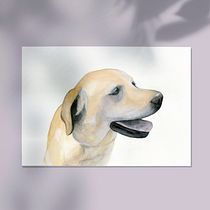 Proyecto del curso "Técnicas experimentales de acuarela para principiantes": Animalario. Un progetto di Disegno, Disegno artistico, Disegno realistico e Illustrazione tradizionale di Beatriz Costo - 14.10.2019