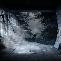 Mi Proyecto del curso: Secretos del fotomontaje y el retoque creativo. Graphic Design, Photograph, and Post-production project by Leonardo Pucheta - 10.17.2019