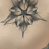 Hola, me darias tu opinión? use RL 3 a 10.5 v . Drawing project by Nadia Facchin - 10.21.2019