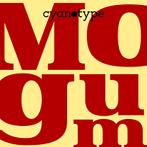 Mogum (First Version). T, and pograph project by Damián Guerrero Cortés - 10.31.2019