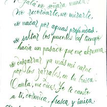 Mi Proyecto del curso: Caligrafía inglesa de la A a la Z. Calligraph project by Sara Sánchez - 11.02.2019