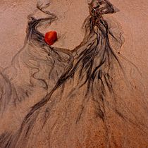 Arenas minimalistas . Fotografi, Fotografi Seni Rupa, Dan Fotografi Digital proyek oleh Lilian Autino Fiorina - 11.13.2019