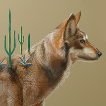 Lobo Mexicano; Ilustración digital con lápices de colores, inspirado en el trabajo de Mercedes deBellard. Design editorial e Ilustração digital projeto de Armando Aguayo Rivera - 20.11.2019