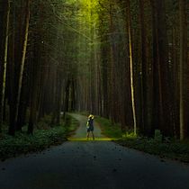 Mi Proyecto del curso: La luz fantasma: técnica de iluminación y tratamiento del color. Projekt z dziedziny Fotografia użytkownika gangcha60 - 28.11.2019