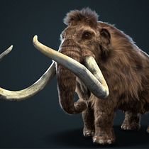 Proyecto final XGen Mammoth Ein Projekt aus dem Bereich Design von 3-D-Figuren von Jovany Cárdenas - 29.11.2019