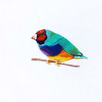 Gouldian Finches Bird made with colourful clay. Técnica aprendida en el curso de Jacinta Besa G.. Un projet de Artisanat de Andrea Martinez - 08.01.2020