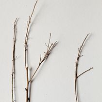 Mi Proyecto del curso: Las leyes de la percepción visual: unidad, peso, equilibrio y movimiento. Un projet de Photographie, Photographie artistique , et Photographie numérique de Lorena González López - 05.12.2019
