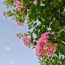Meu projeto do curso: Fotografia profissional para Instagram Ein Projekt aus dem Bereich Smartphonefotografie von Bruna Weber Antunes - 10.12.2019