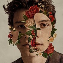 Falling All In You  - Shawn Mendes. Film, Video, TV, and Marketing project by Alexis Vargas - 12.16.2019
