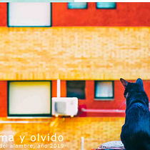Bruma y olvido, proyecto para Editing of Photo Books and Visual Storytelling. Projekt z dziedziny Fotografia użytkownika beauseant - 16.12.2019