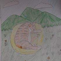 Mi Proyecto del curso: Dibujo de mi gato. Un proyecto de Dibujo a lápiz de Gabriel Paredes Aguilar - 30.12.2019