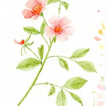 Meu projeto do curso: Ilustração botânica com aquarela. Criatividade, Desenho, Desenho artístico, e Pintura em aquarela projeto de Bruna Cavenaghi - 26.12.2019