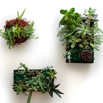 Mi Proyecto del curso: Diseño y creación de composiciones botánicas. Projekt z dziedziny Craft użytkownika Karla Fonseca - 09.01.2020