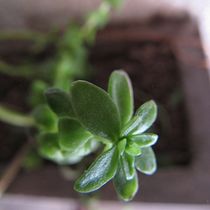 Mi Proyecto del curso: Guía práctica para aprender a manejar tu cámara digital desde cero. Un projet de Photographie de Catalina Cid - 14.01.2020