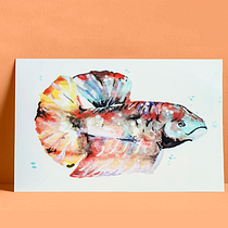 Proyecto del curso: Técnicas experimentales de acuarela para principiantes . Un progetto di Belle arti, Illustrazione tradizionale, Pittura ad acquerello, Creatività e Pittura di Beliz Boni - 14.01.2020