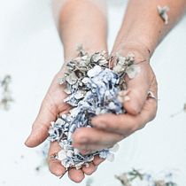 Meu projeto do curso: Visual Storytelling para sua marca pessoal no Instagram. Projekt z dziedziny Fotografia użytkownika Márcio Pereira - 15.01.2020