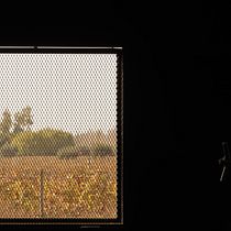 Mi Proyecto del curso: Bodega (Introducción a la fotografía digital). Architecture, and Photograph project by Julieta Pessina - 01.16.2020